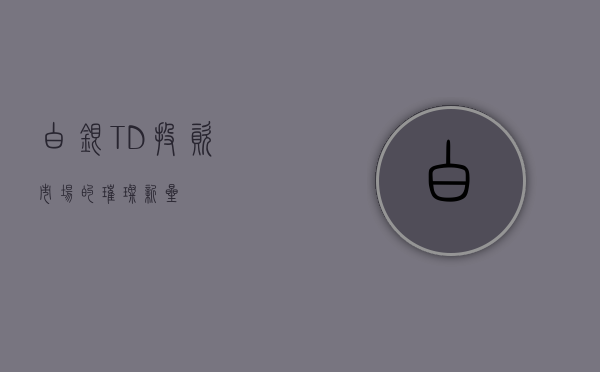 白银TD，投资市场的璀璨新星