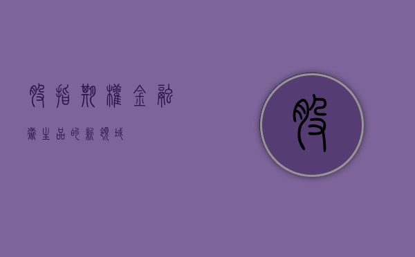 股指期权，金融衍生品的新领域