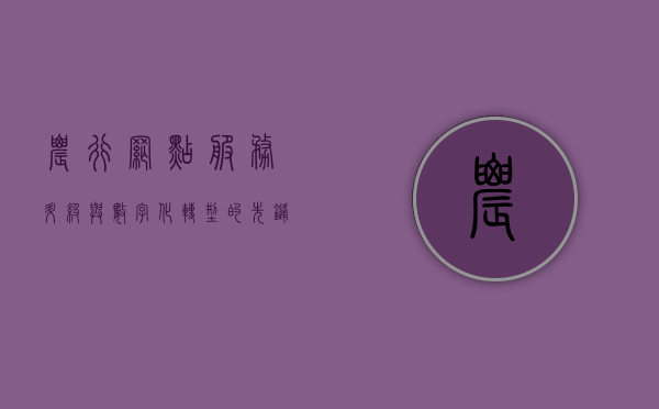农行网点，服务升级与数字化转型的先锋力量