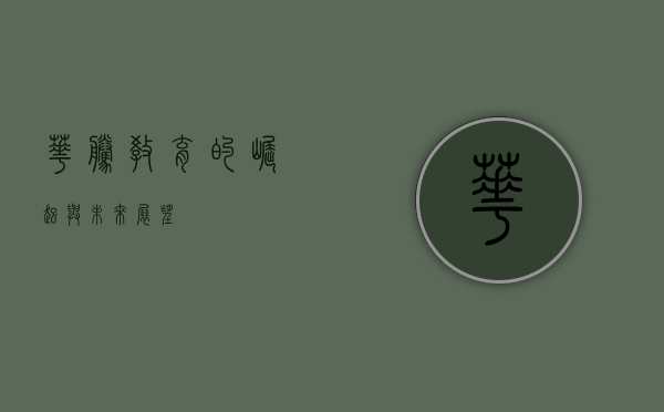 华腾教育的崛起与未来展望