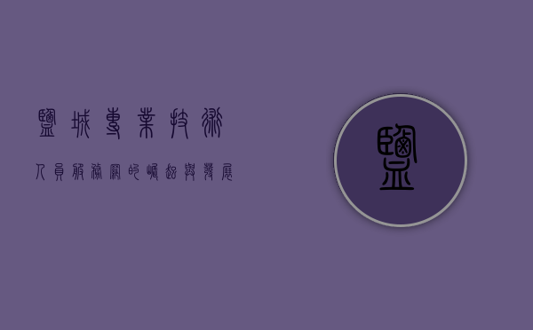 盐城专业技术人员服务网的崛起与发展