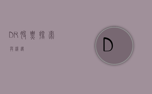 DR股票，探索与机遇