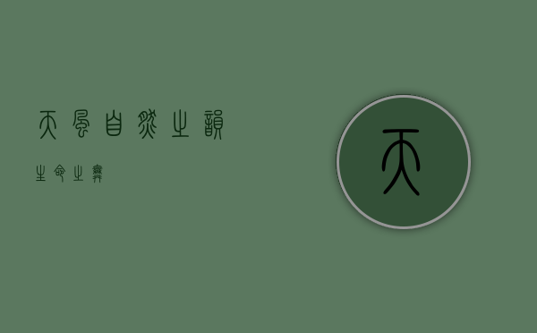 天风，自然之韵，生命之舞