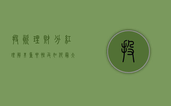 投资理财分红，理解其重要性及如何最大化收益