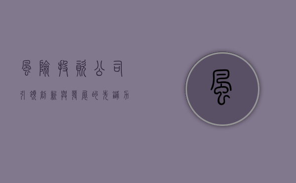 风险投资公司，引领创新与发展的先锋力量