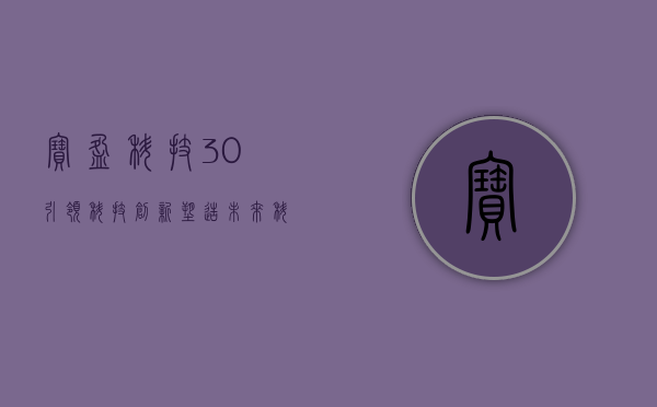 宝盈科技30，引领科技创新，塑造未来科技新纪元
