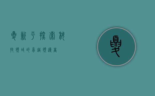 夏新平，探索科技领域的卓越领导者