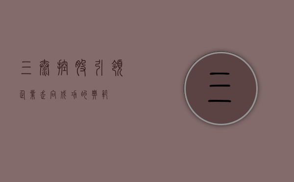 三泰控股，引领企业走向成功的典范