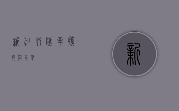 新加坡汇率，探究与影响