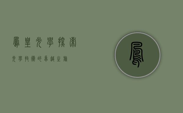 凤凰光学,探索光学技术的卓越之旅