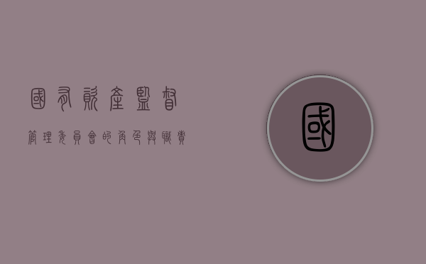 国有资产监督管理委员会的角色与职责