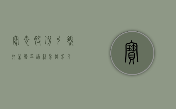 宝光股份，引领行业变革，铸就卓越未来