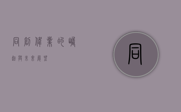 同创伟业的崛起与未来展望