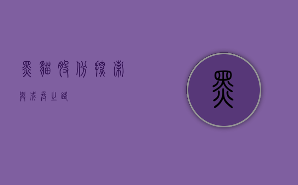 黑猫股份，探索与成长之路