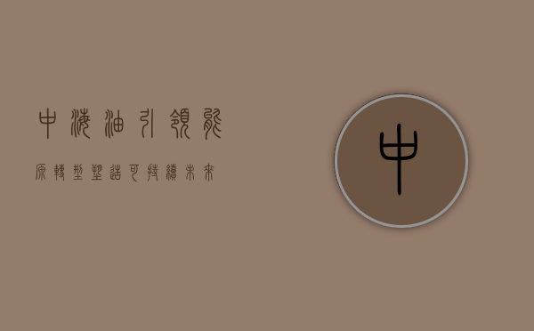 中海油，引领能源转型，塑造可持续未来