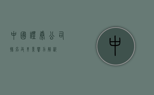 中国证券公司排名及其影响力解析