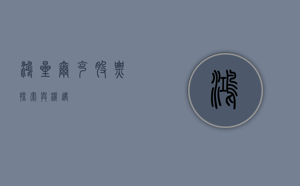 鸿星尔克股票，探索与机遇