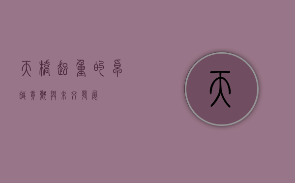 天桥起重的卓越贡献与未来发展
