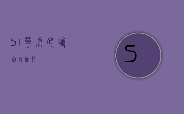 ST华源的崛起与挑战