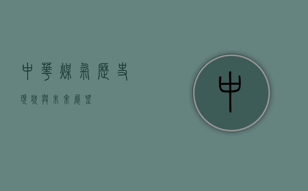 中华煤气，历史、现状与未来展望