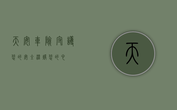 天安车险，守护您的安全，温暖您的心