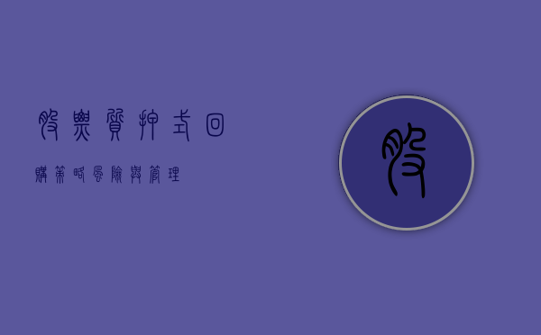 股票质押式回购，策略、风险与管理