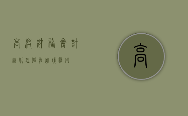 高级财务会计，深化理解与实践应用