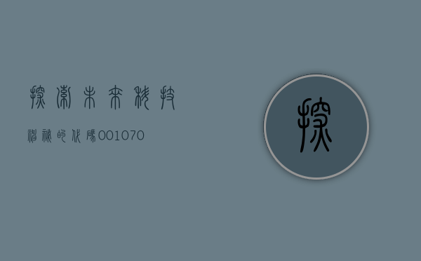 探索未来科技，神秘的代码001070