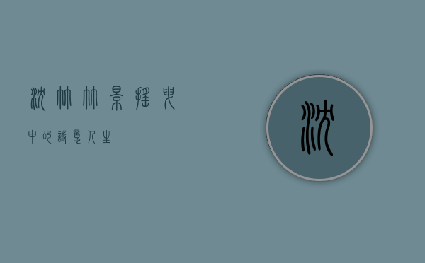 沈竹，竹影摇曳中的诗意人生