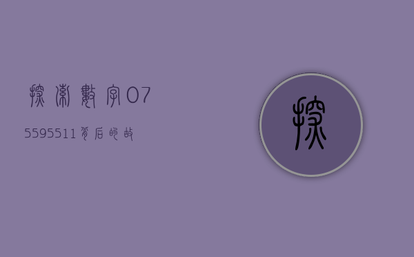 探索数字075595511背后的故事