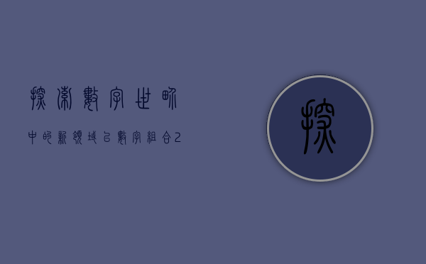 探索数字世界中的新领域—以数字组合260110为视角