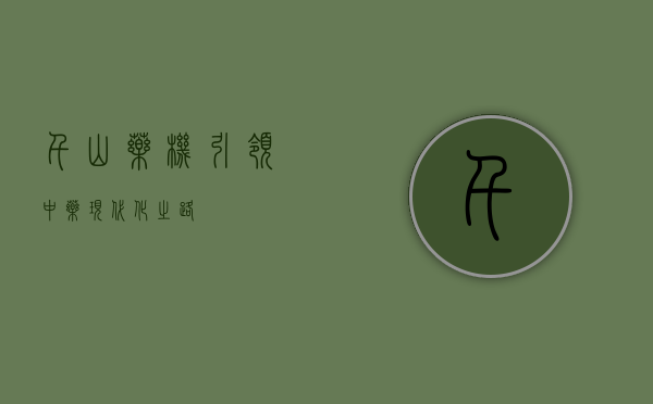 千山药机，引领中药现代化之路