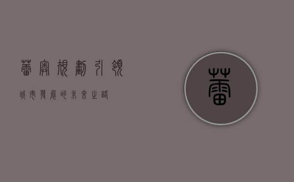 蕾奥规划，引领城市发展的未来之路