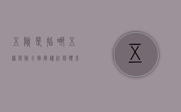 五险是指哪五种保险？全面解读社保体系