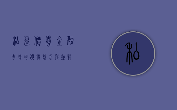 私募债券，金融市场的独特魅力与挑战