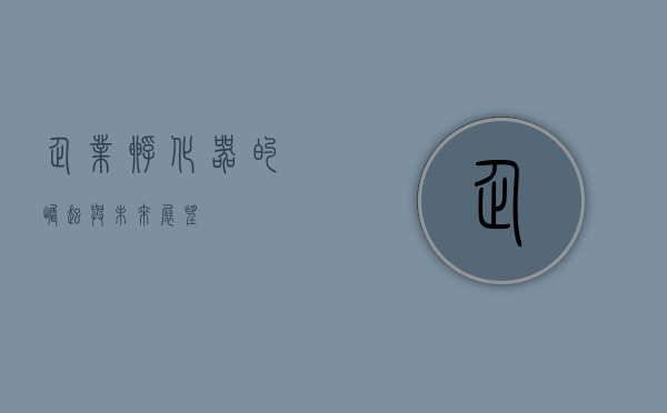 企业孵化器的崛起与未来展望