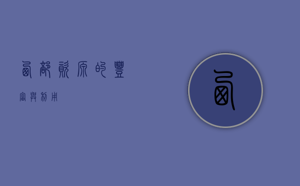 西部资源的丰富与利用