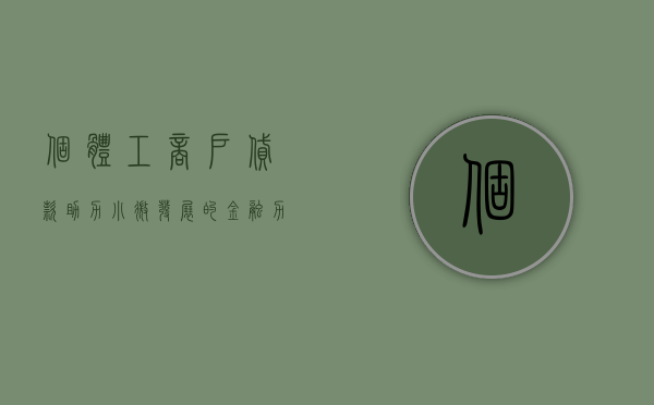 个体工商户贷款，助力小微发展的金融力量