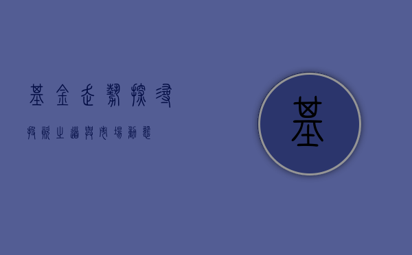 基金走势，探寻投资之道与市场动态