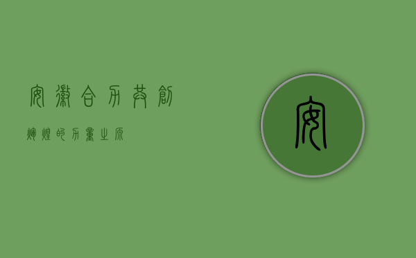 安徽合力，共创辉煌的力量之源