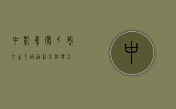 中利集团，引领行业先锋，铸就卓越传奇