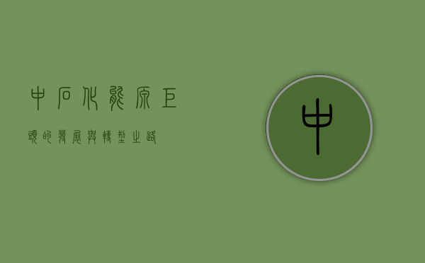 中石化，能源巨头的发展与转型之路