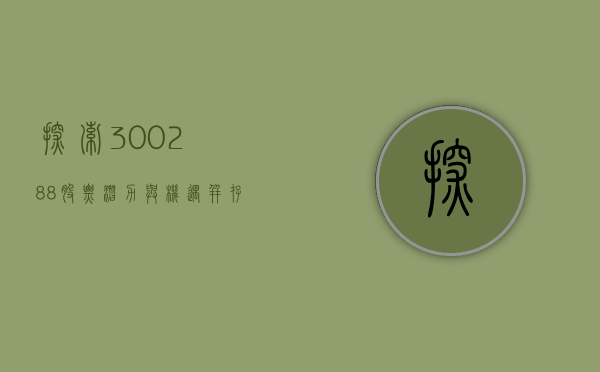 探索300288股票，潜力与机遇