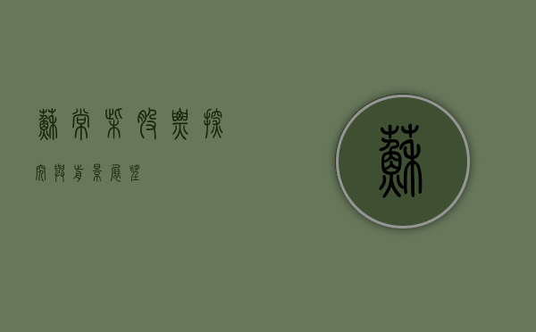 苏常柴股票，探究与前景展望