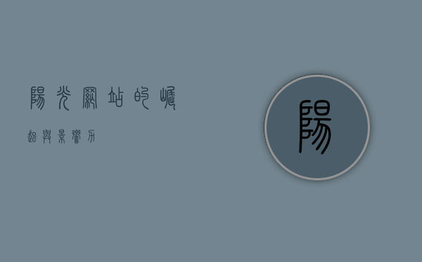 阳光网站的崛起与影响力