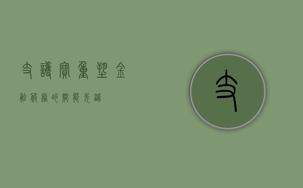 支护宝，重塑金融服务的智能先锋