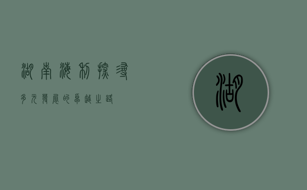 湖南海利，探寻多元发展的卓越之路