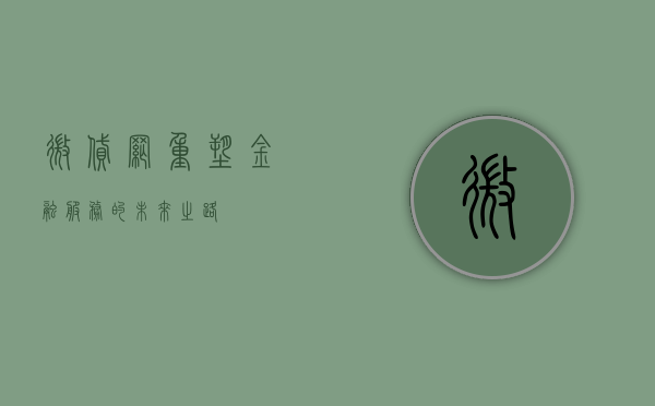 微贷网，重塑金融服务的未来之路