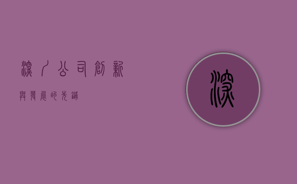 深圳公司，创新与发展的先锋