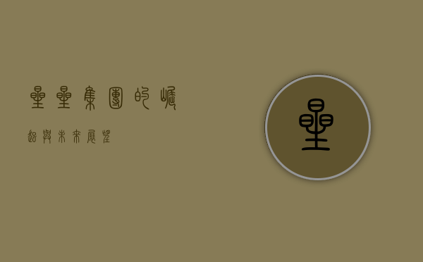 星星集团的崛起与未来展望
